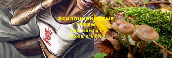 прущая мука Покачи