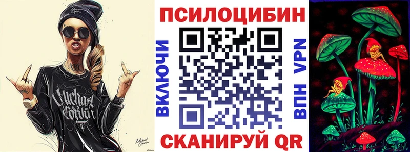 Псилоцибиновые грибы Psilocybe  Купить где  Архангельск 